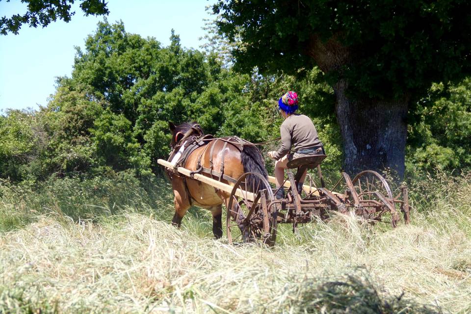 Ferme de la Ruade