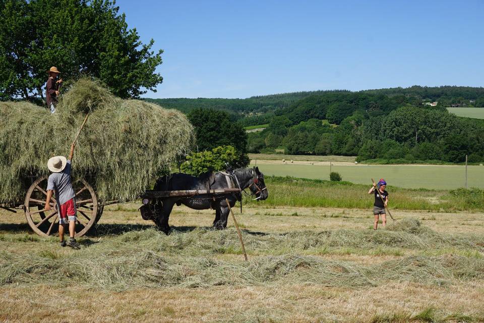 Ferme de la Ruade