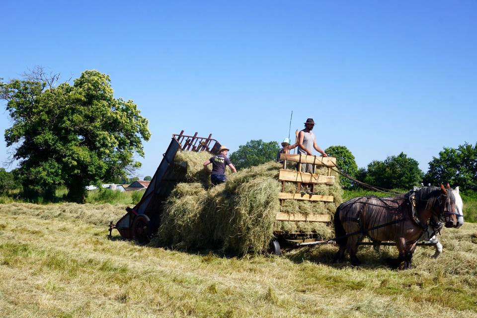 Ferme de la Ruade
