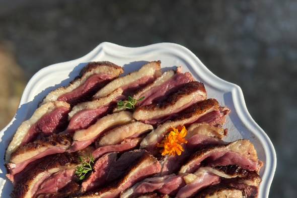 MAGRET DE CANARD AU COGNAC
