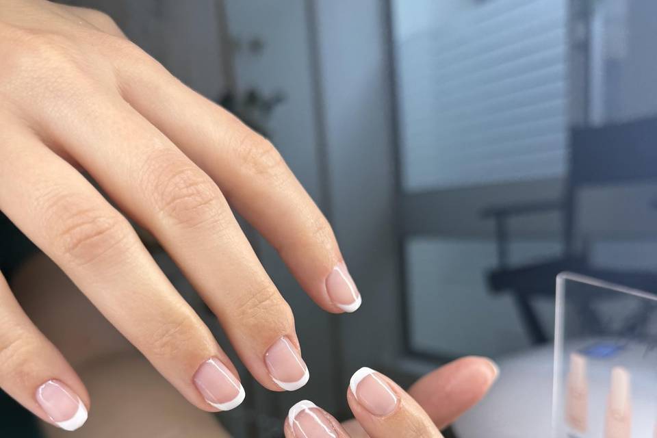Vernis sp