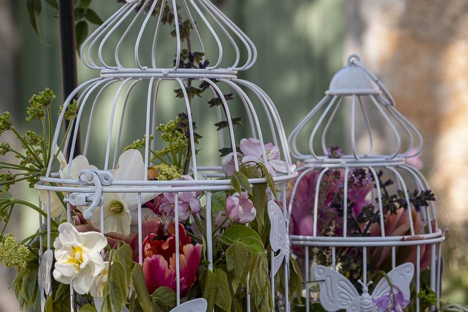 Cages aux fleurs