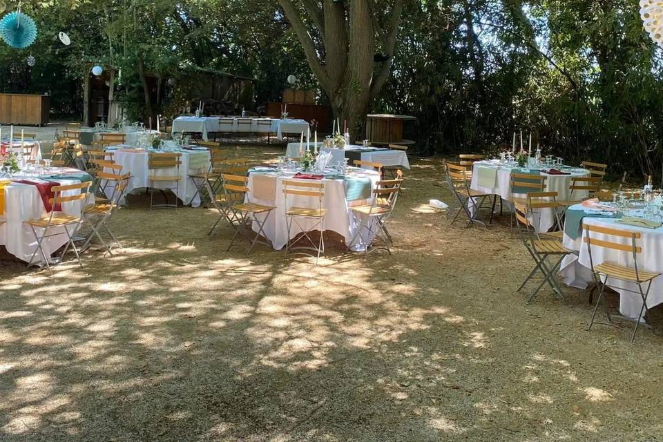 Dîner sous les arbres