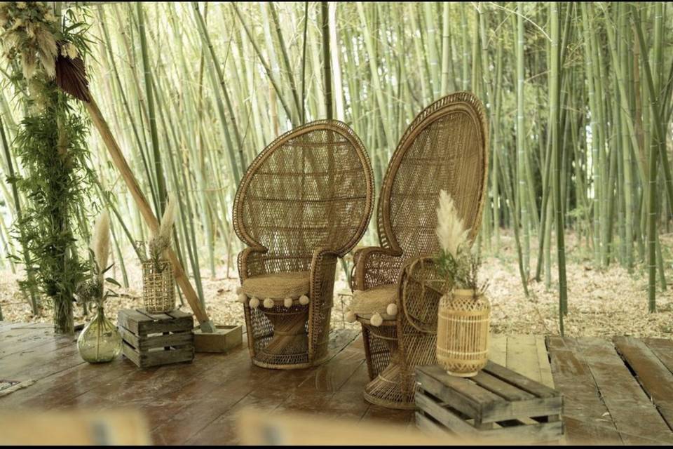 Cérémonie face à la bambousera
