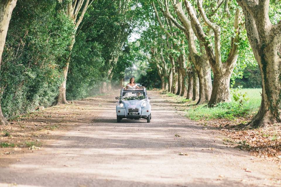 Arrivée des mariés