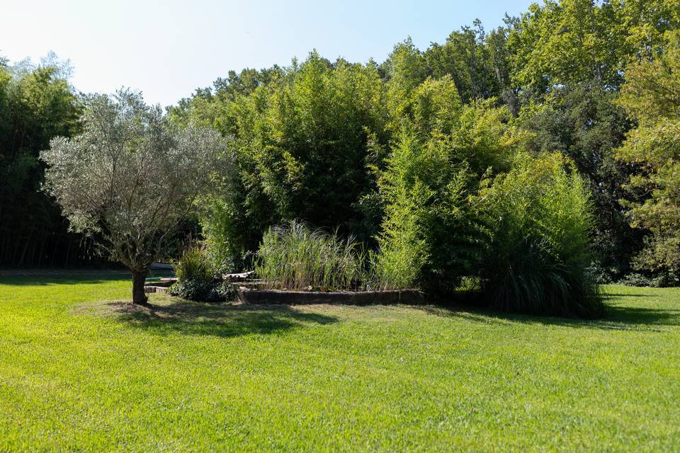 Cérémonie dans le parc