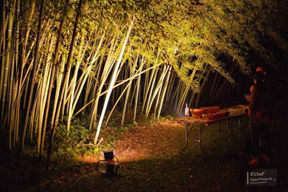 La bambouseraie la nuit
