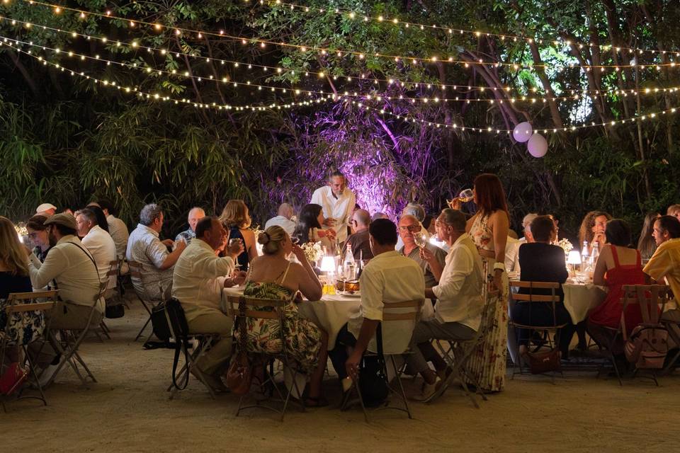 Soiree sous les arbres