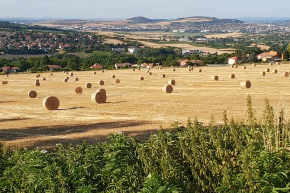 Domaine Des Deux Tours