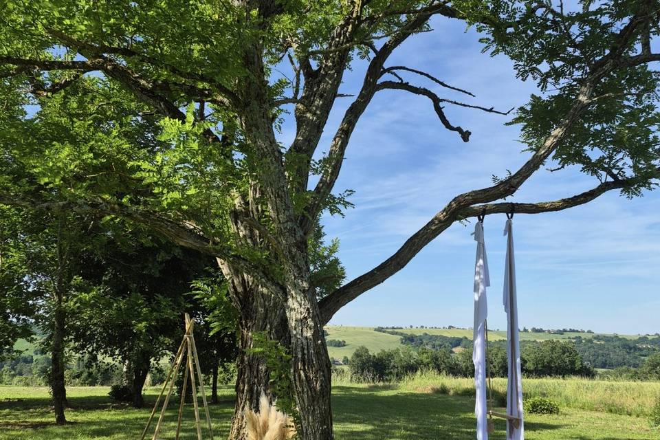 Parc arboré