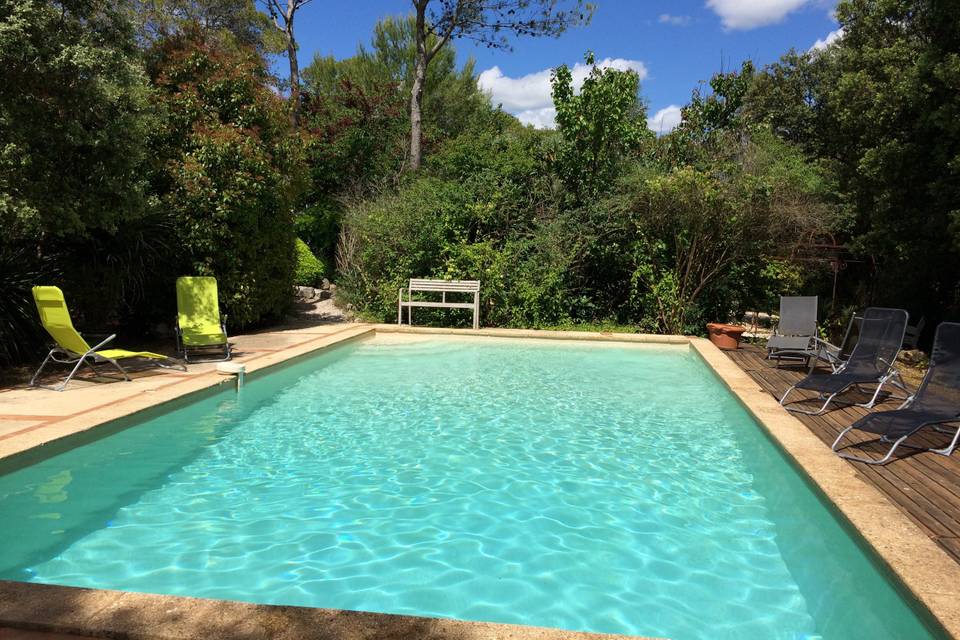 Profiter de la piscine en fami