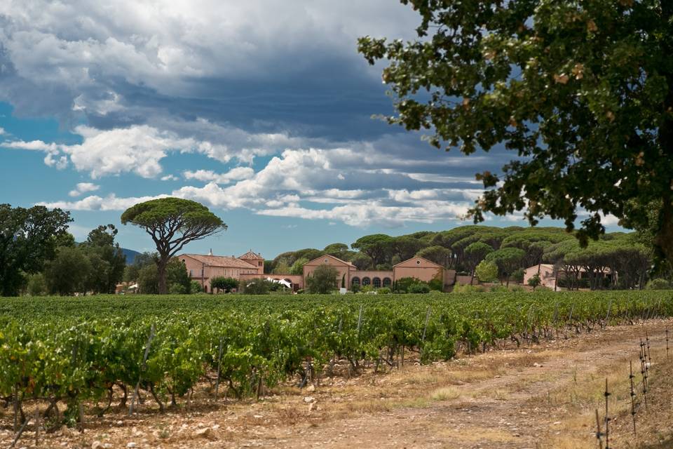 Chateau Saint Julien d'Aille