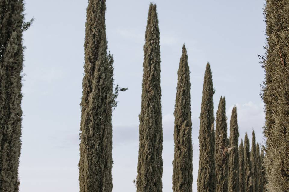 Mariage en Toscane