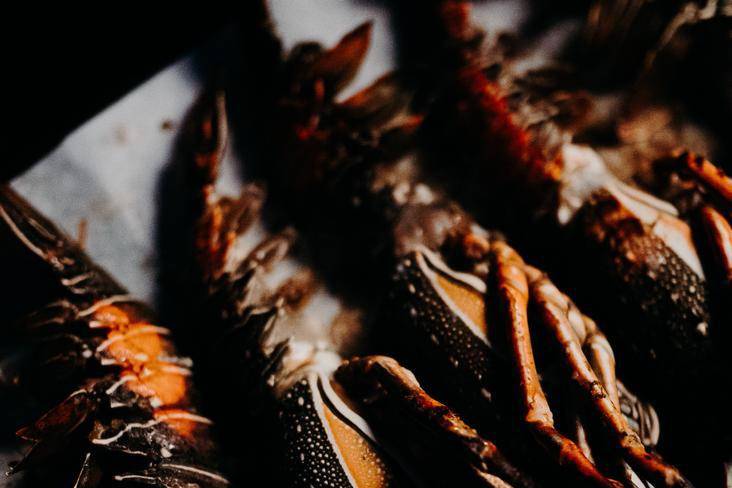 Repas à la langouste mariage