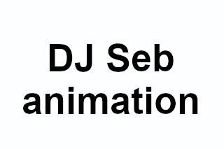 DJ Seb animation