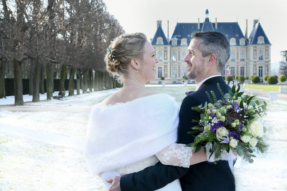 Parc de Sceaux sous la neige