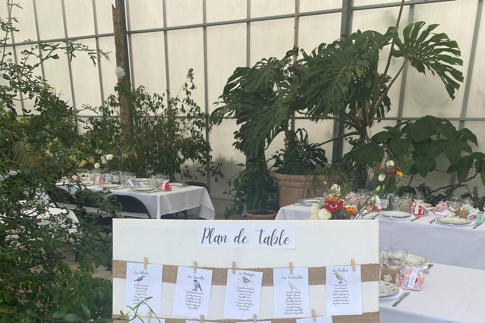 Luna Events