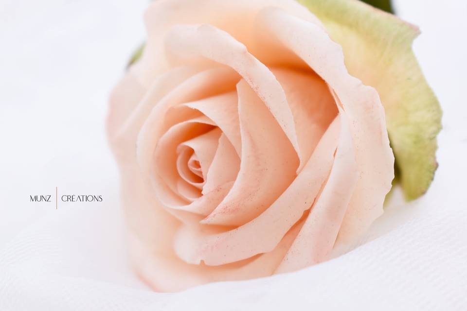 Rose en pâte à sucre