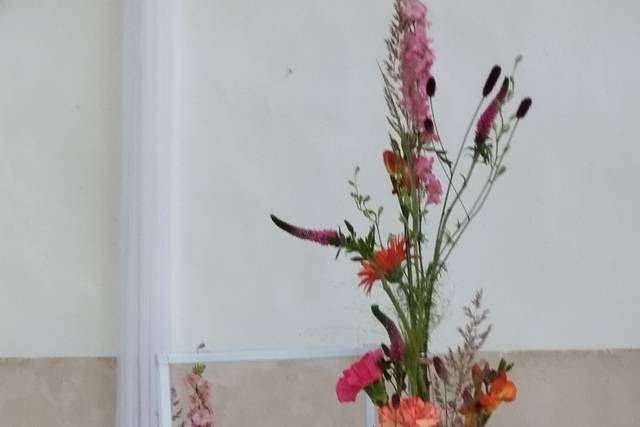 Orange fuchsia:  table