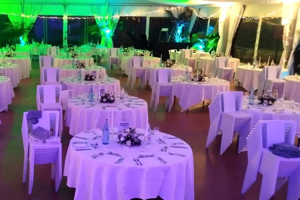 Tables orchidée