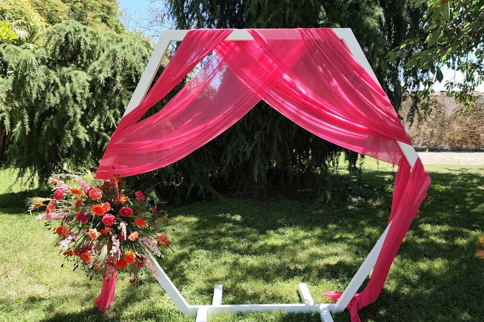 Orange fuchsia:  arche