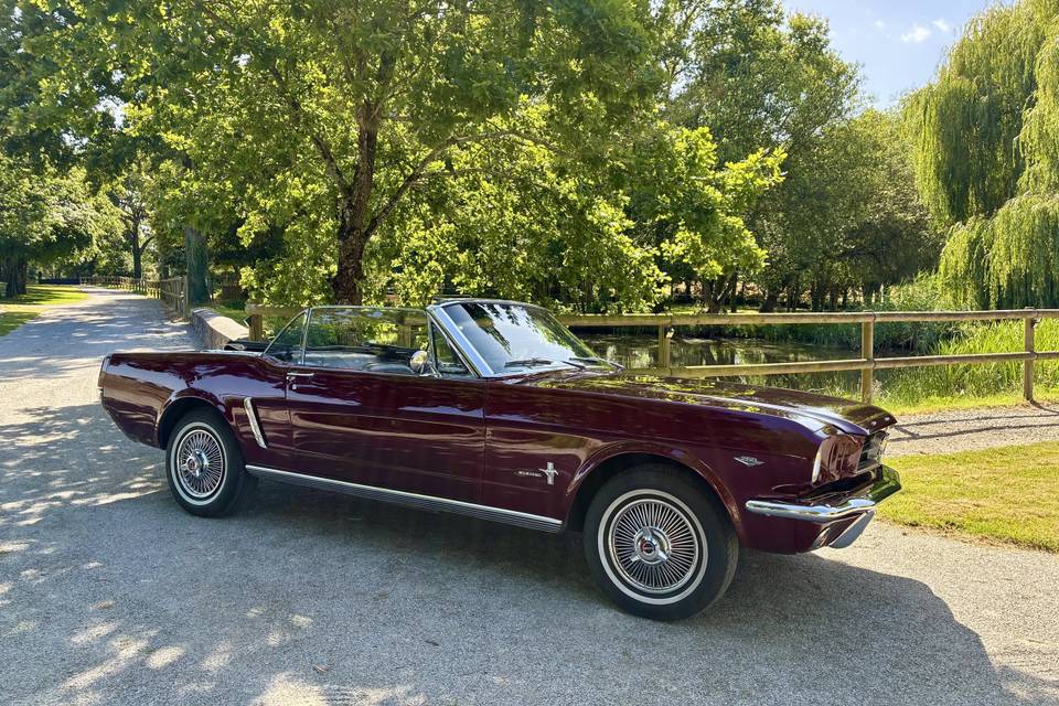 Voiture de collection