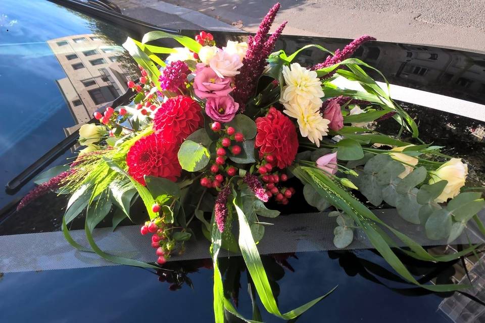 Capot de voiture