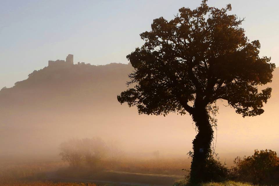 Le château