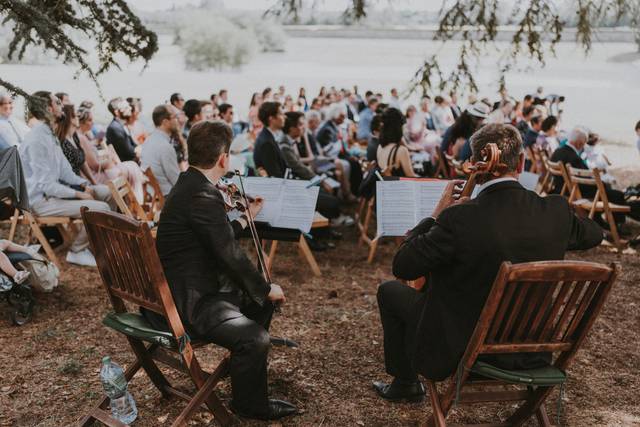 Un violon pour votre mariage