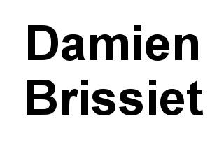 Damien Brissiet  logo