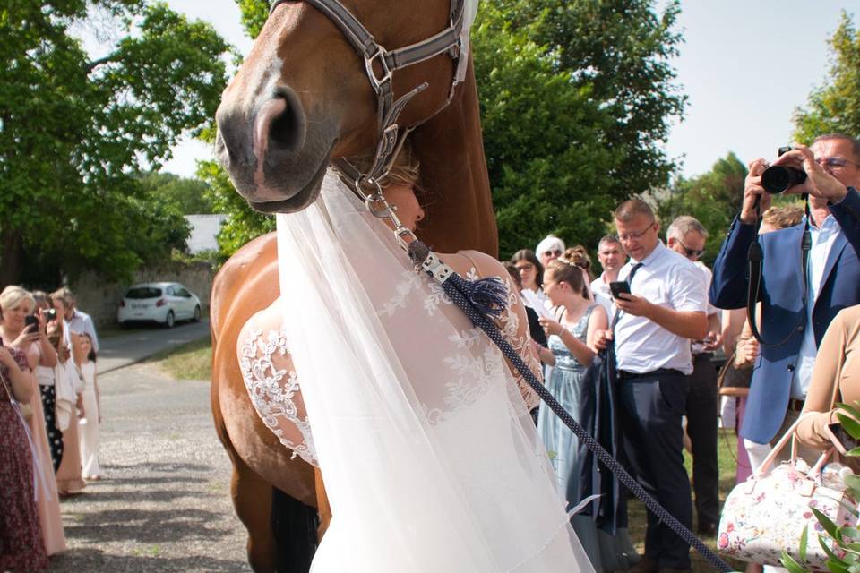 Le mariage de Manon & Florent