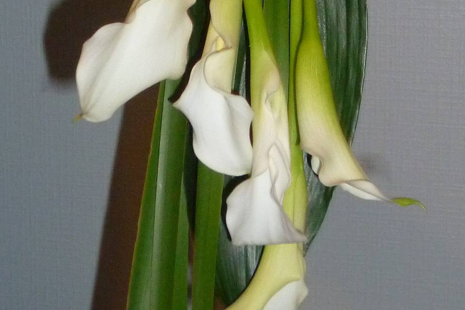 Bouquet de Mariée forme chute