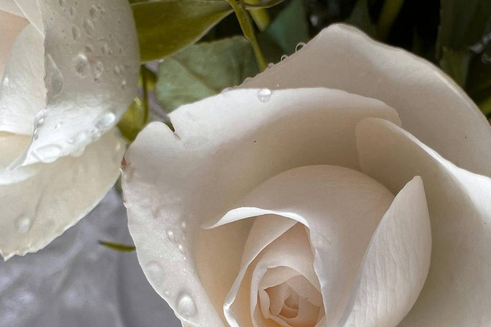 Fleurs fraîches.