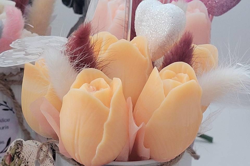 Tulipes passion