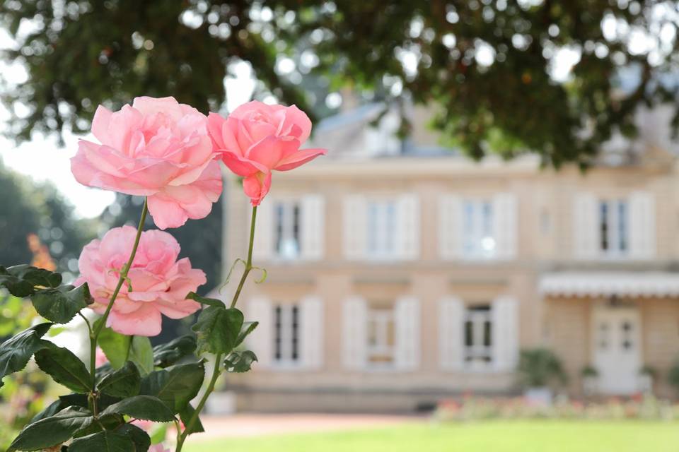 Vue du Château