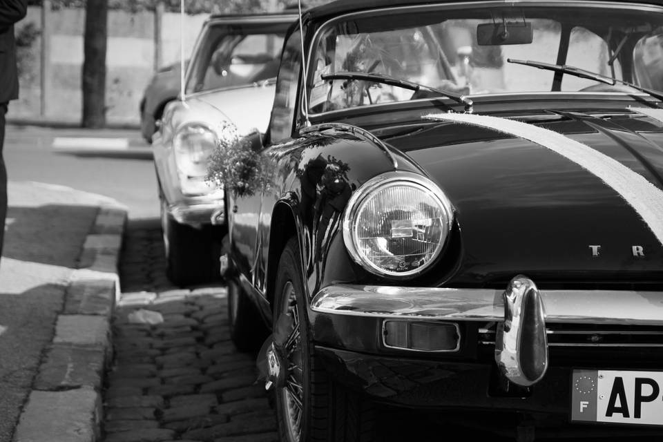 Black and Colors