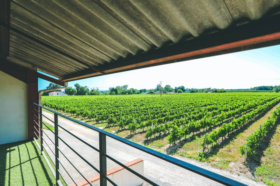 Vue de la salle des vignes