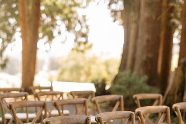 Chaises dos croisé en bois