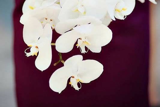 Bouquet de mariée