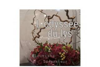 L'Odyssée du Lys