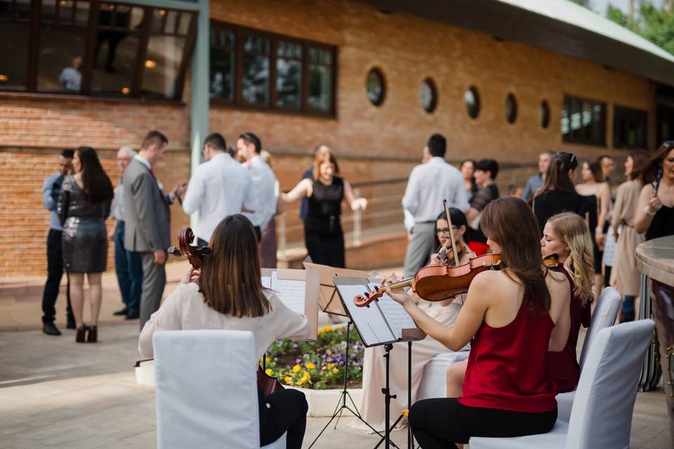 Musique de mMariage à Lausanne