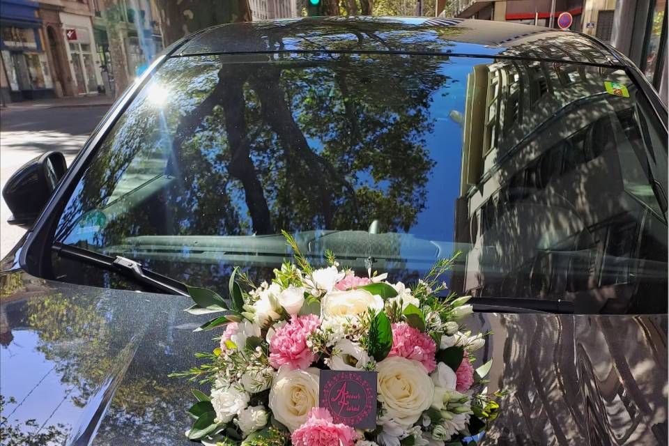 Décoration capot de voiture