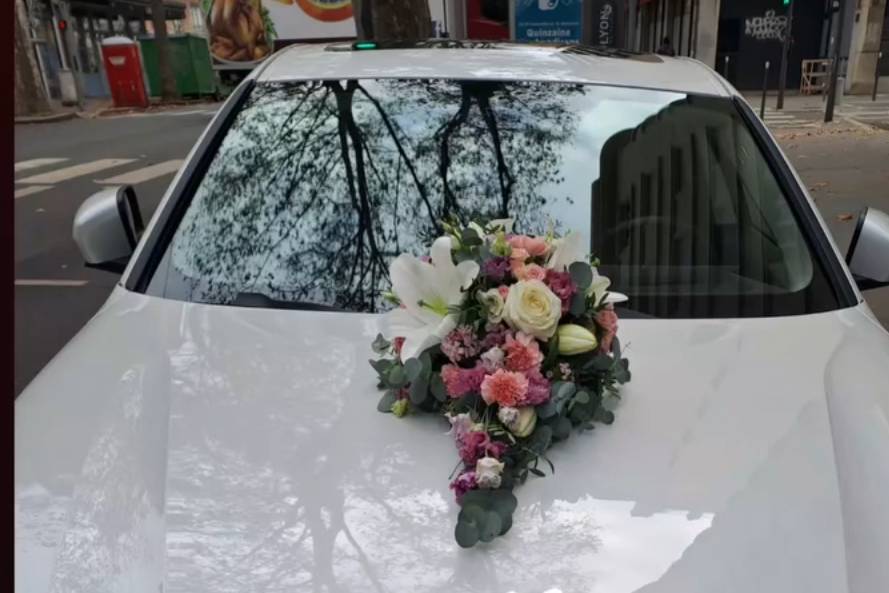 Décoration capot de voiture