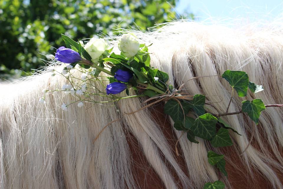 Décoration florale chevaux