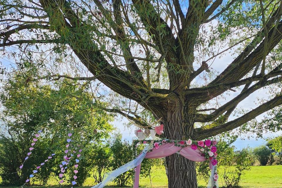 Mariage sous l'arbre