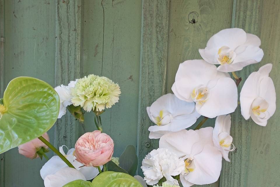 Maé fleuriste décoratrice