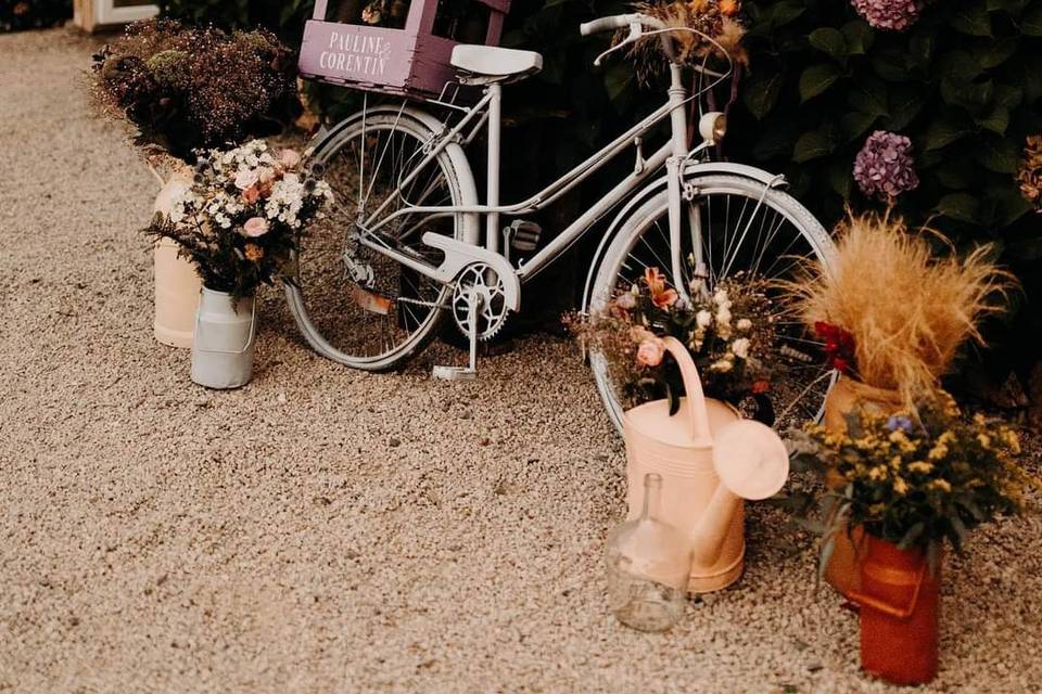 Vélo et hortensias