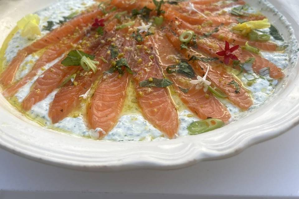 Gravlax de saumon