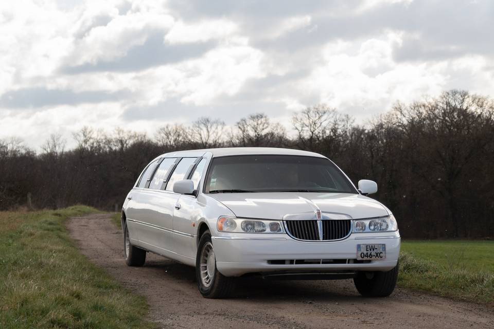 Stella Limousine