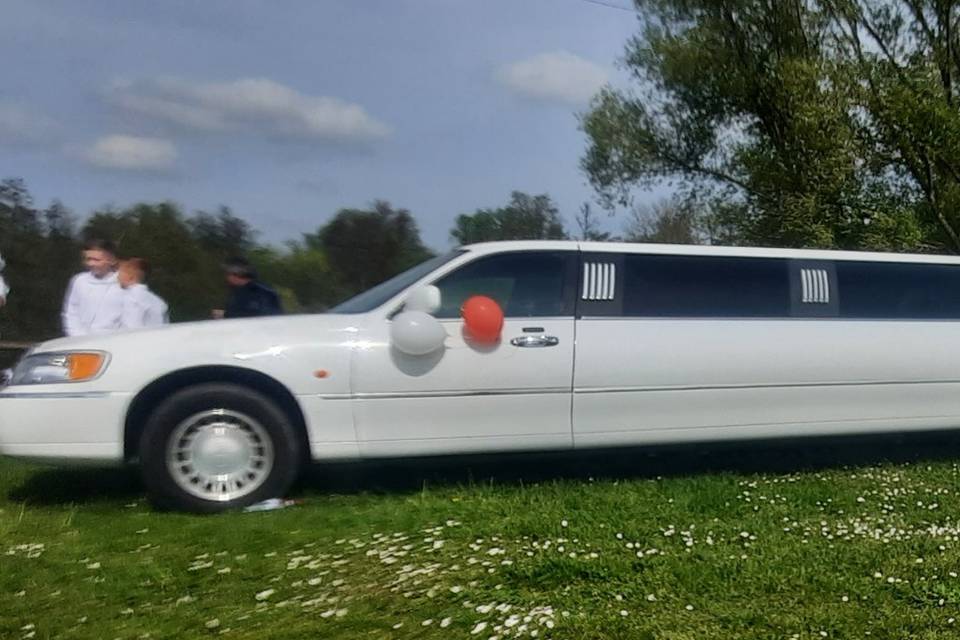 Stella Limousine